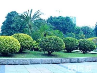 北京园林绿化景观绿化假山喷泉工程设计施工